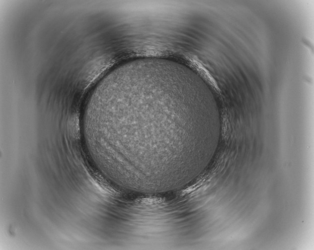 X0000095530251200712281528