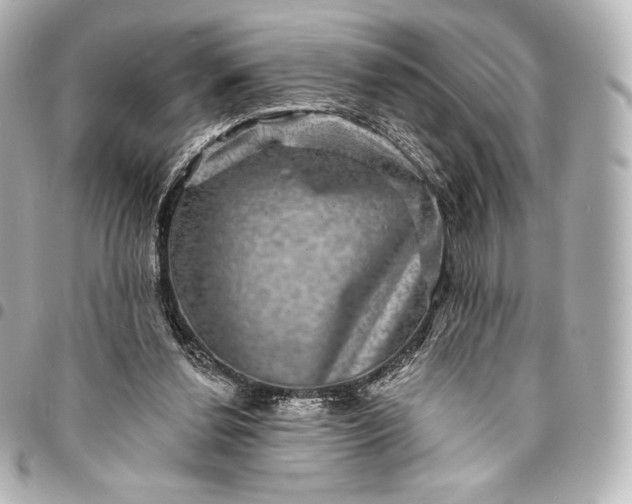 X0000095530252200712281528