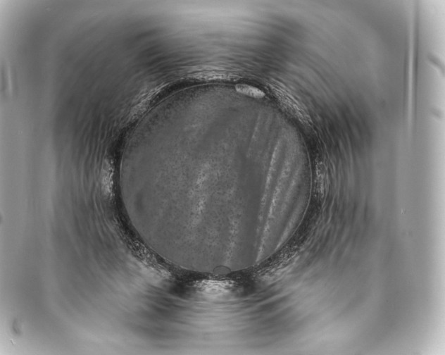 X0000095530255200712281528