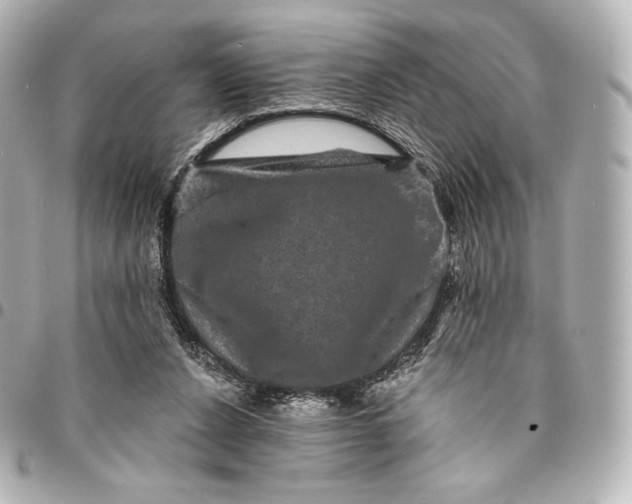 X0000095530256200712281528