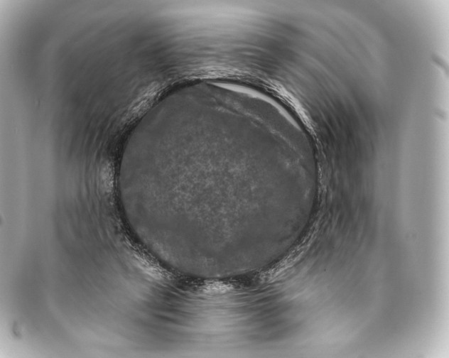 X0000095530257200712281528