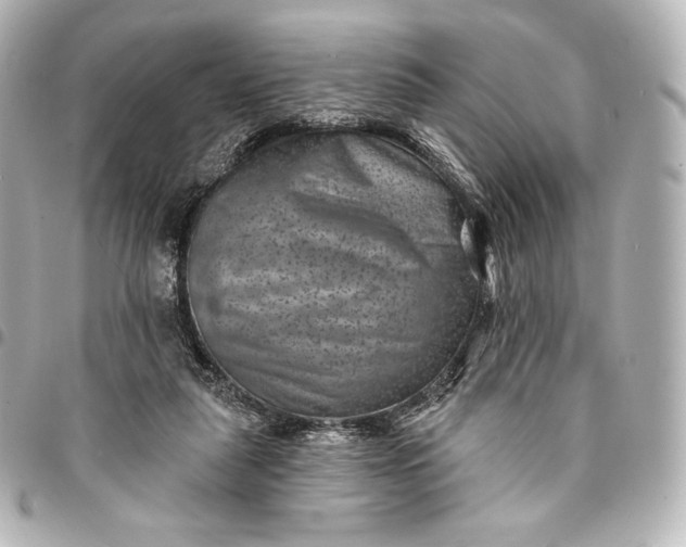 X0000095530259200712281528