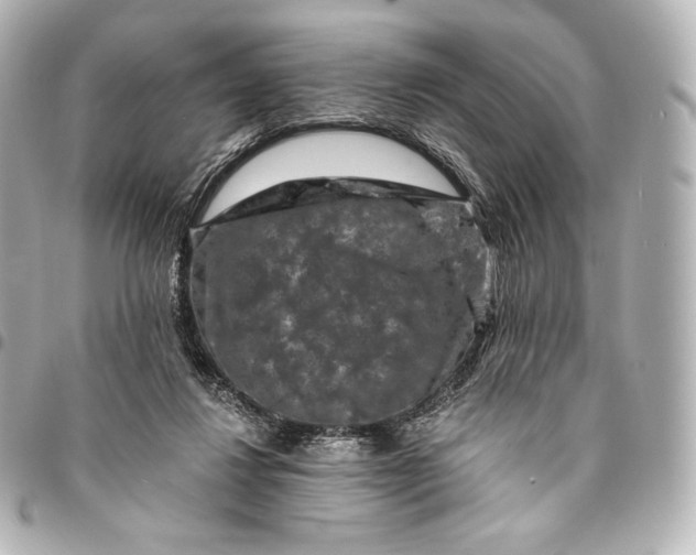 X0000095530260200712281528