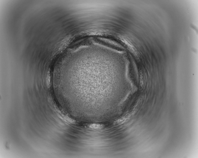 X0000095530261200712281528