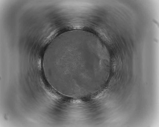 X0000095530262200712281528