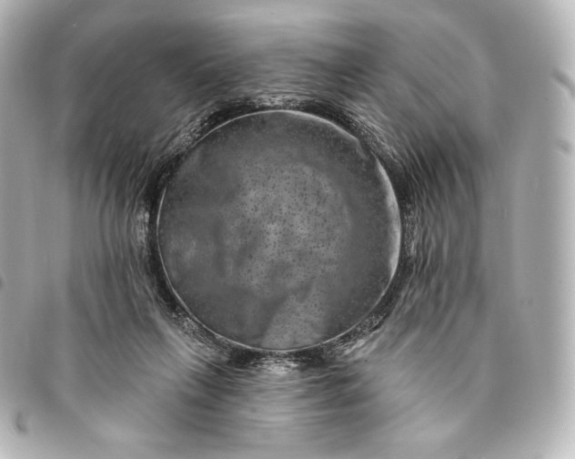 X0000095530263200712281528