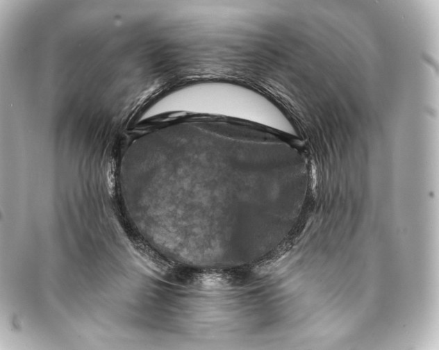 X0000095530264200712281528