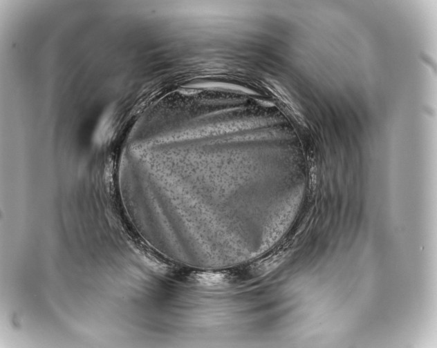 X0000095530265200712281528