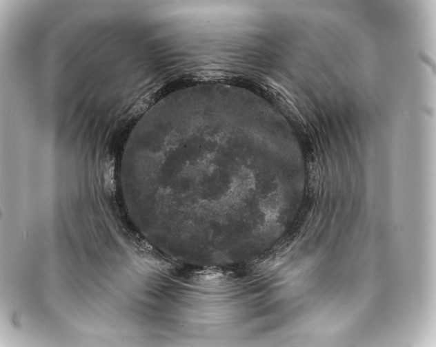 X0000095530267200712281528