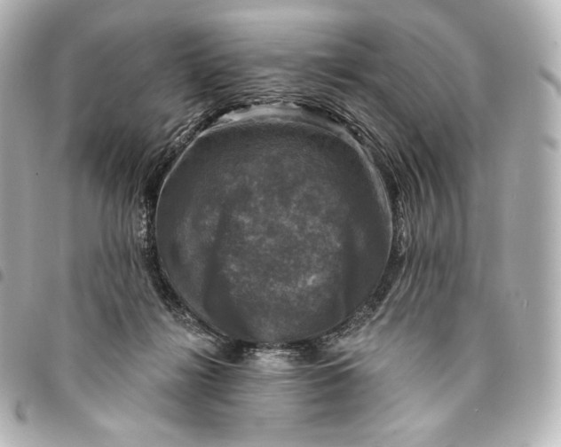 X0000095530268200712281528