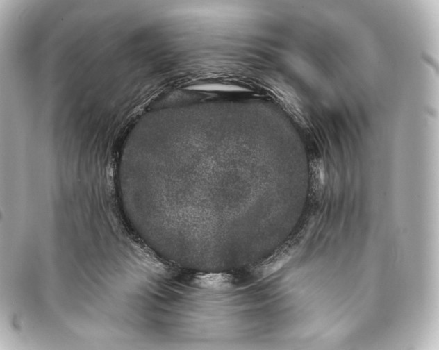 X0000095530269200712281528