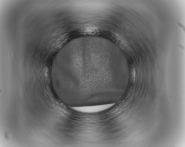 X0000095530270200712281528