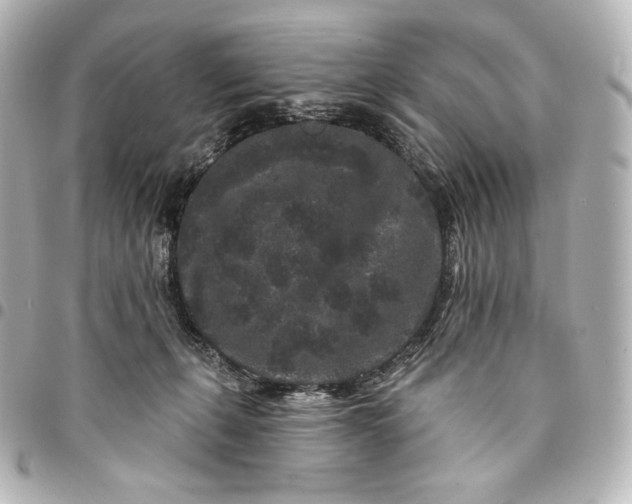 X0000095530271200712281528