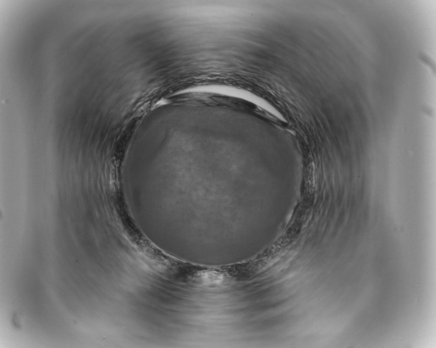 X0000095530272200712281528