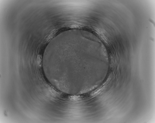 X0000095530273200712281528