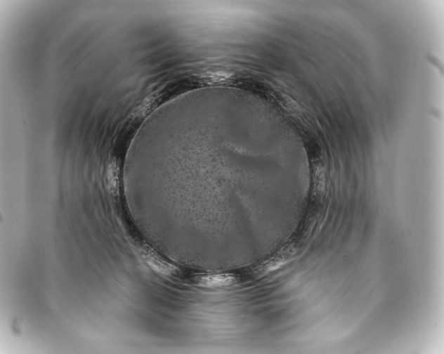 X0000095530274200712281528