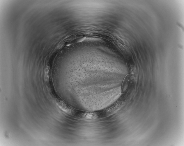 X0000095530275200712281528
