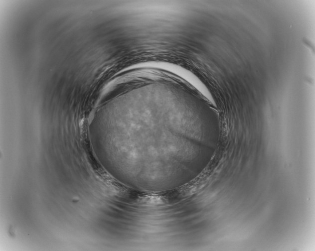 X0000095530276200712281528