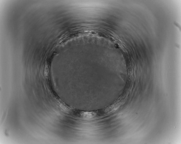 X0000095530277200712281528