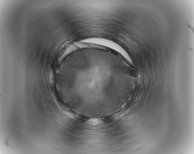 X0000095530280200712281528