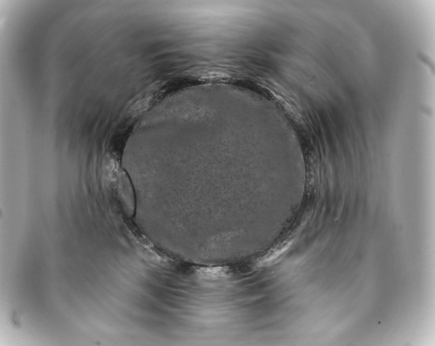 X0000095530281200712281528