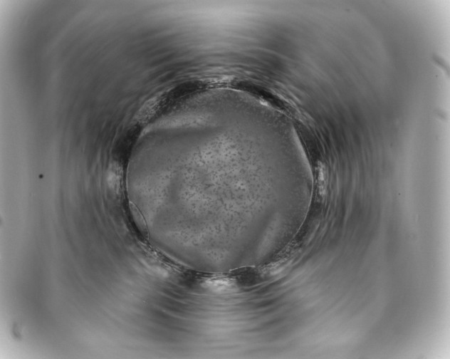 X0000095530283200712281528