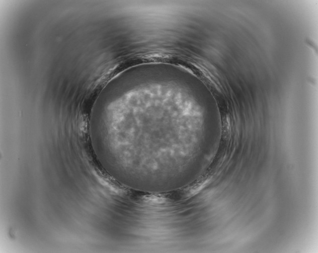 X0000095530284200712281528