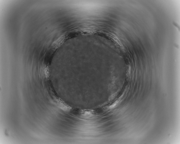 X0000095530285200712281528