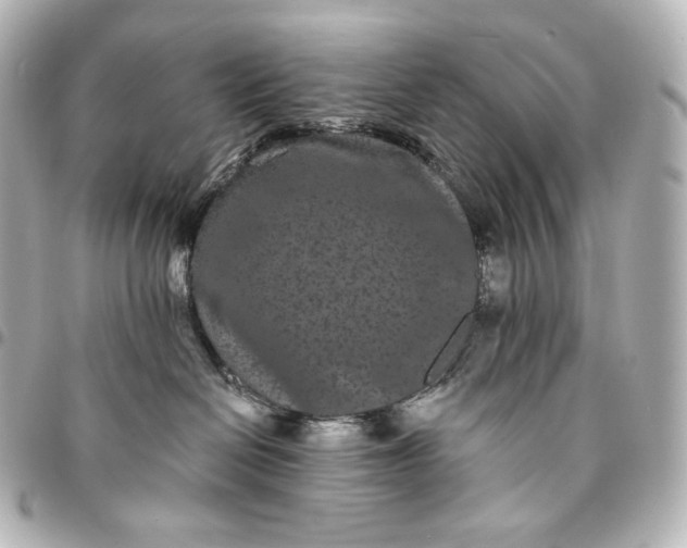 X0000095530286200712281528