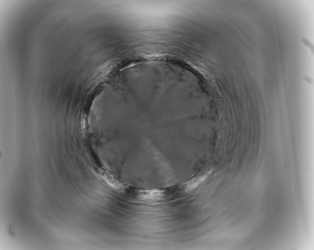 X0000095530288200712281528