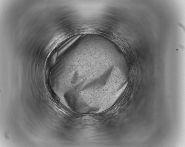 X0000095530290200712281528