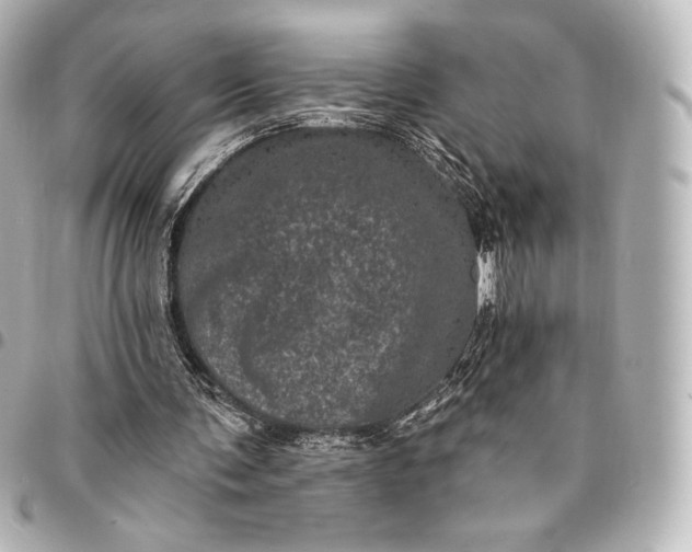 X0000095530291200712281528