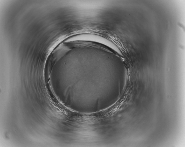 X0000095530292200712281528