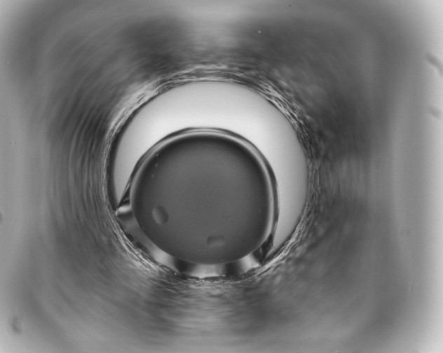X0000095530293200712281528