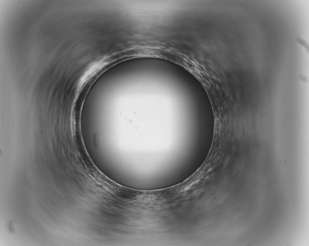 X0000095530294200712281528
