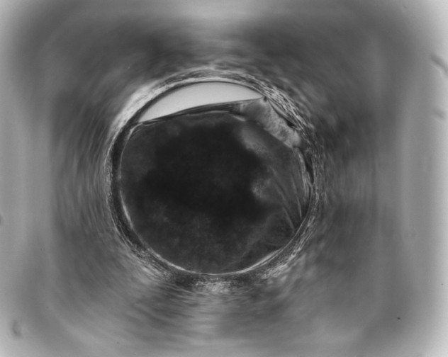 X0000095530295200712281528
