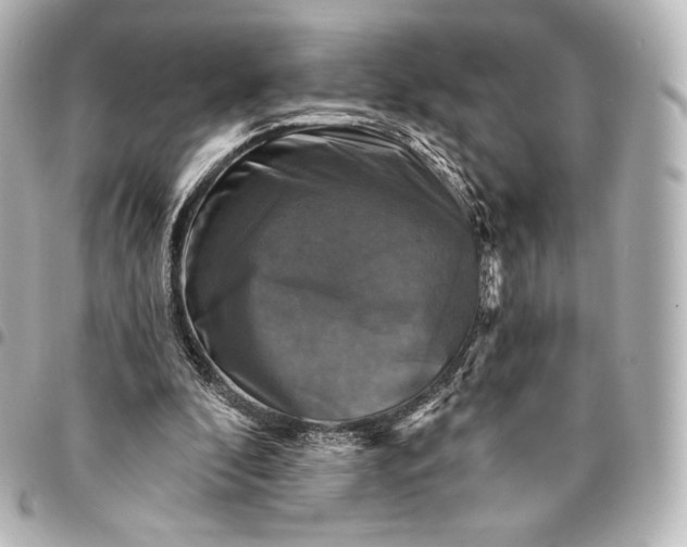 X0000095530296200712281528