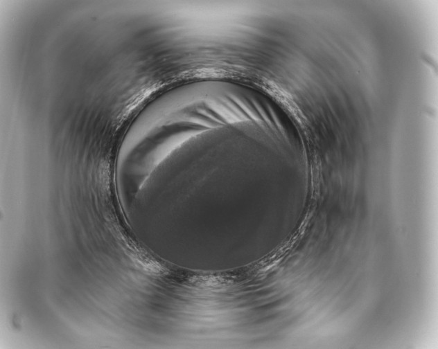X0000095530297200712281528