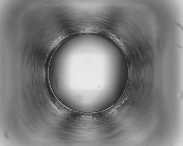 X0000095530298200712281528