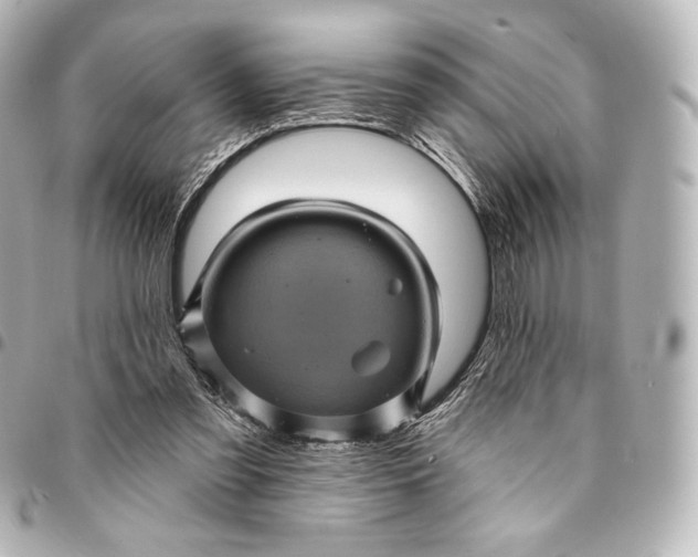 X0000095530301200712281527