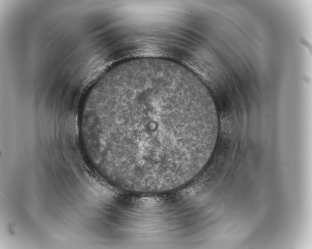 X0000095530302200712281527