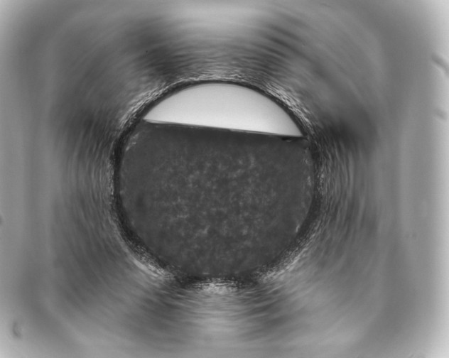 X0000095530303200712281527