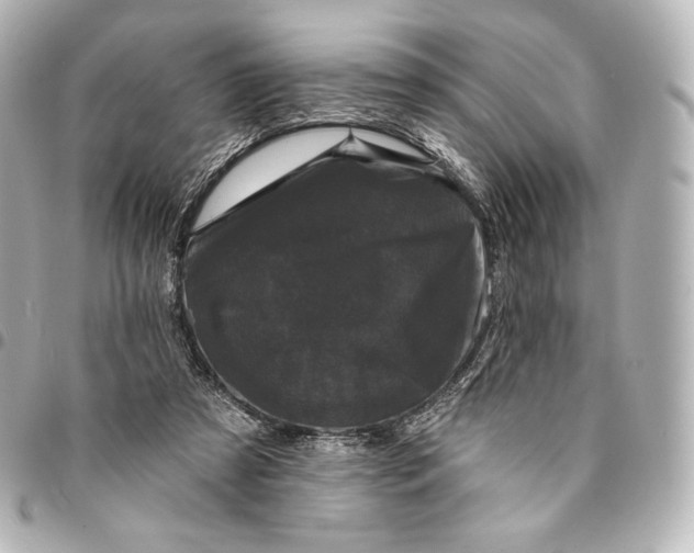 X0000095530305200712281527