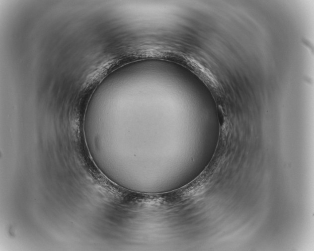 X0000095530306200712281527
