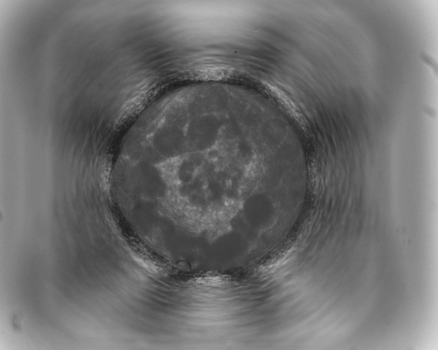 X0000095530307200712281527