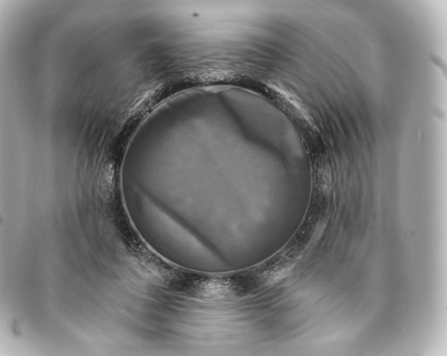 X0000095530308200712281527