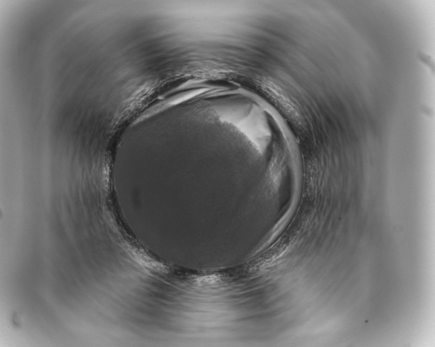 X0000095530309200712281527