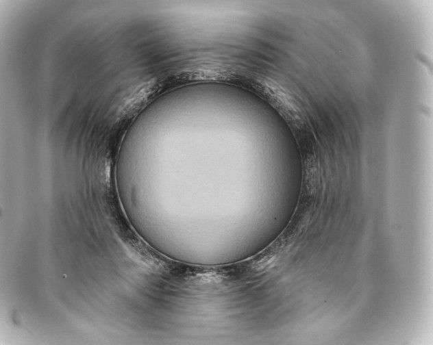 X0000095530310200712281527