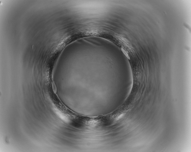 X0000095530312200712281527