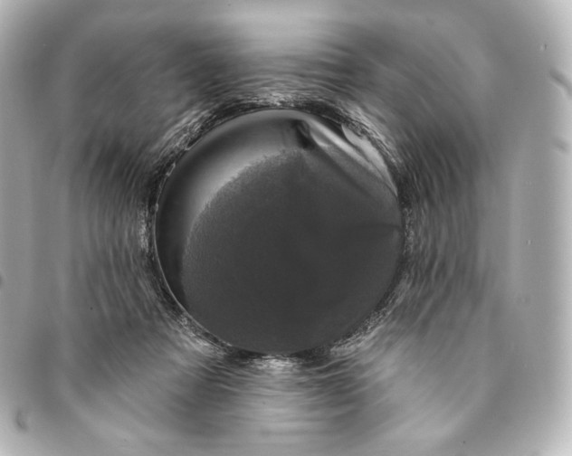 X0000095530313200712281527
